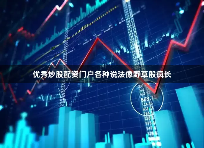 优秀炒股配资门户各种说法像野草般疯长