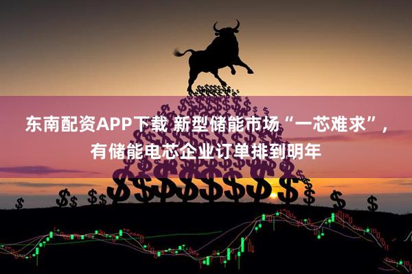 东南配资APP下载 新型储能市场“一芯难求”，有储能电芯企业订单排到明年